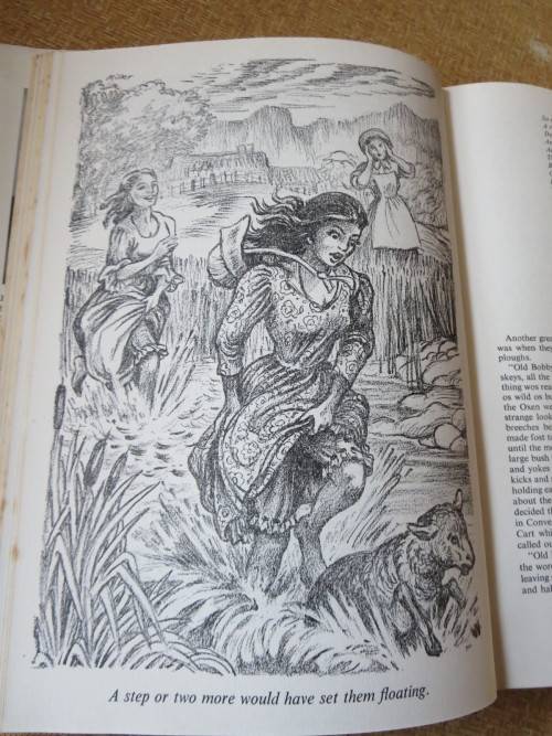 FRONTIER FLAMES  by F. C. Metrowich (Frontiersmen & settlers of SA especially Eastern Cape)
