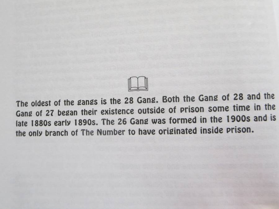 GOD`S GANGSTERS? The Number Gangs in South African Prisons  by Heather Parker Lewis