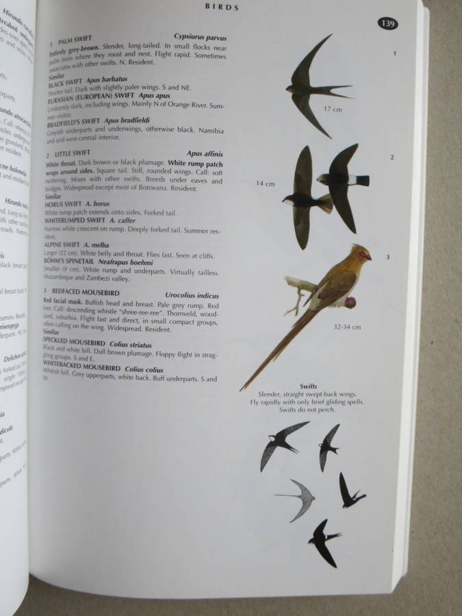WILDLIFE OF SOUTHERN AFRICA  Field guide to animals and plants of the region by Vincent Carruthers