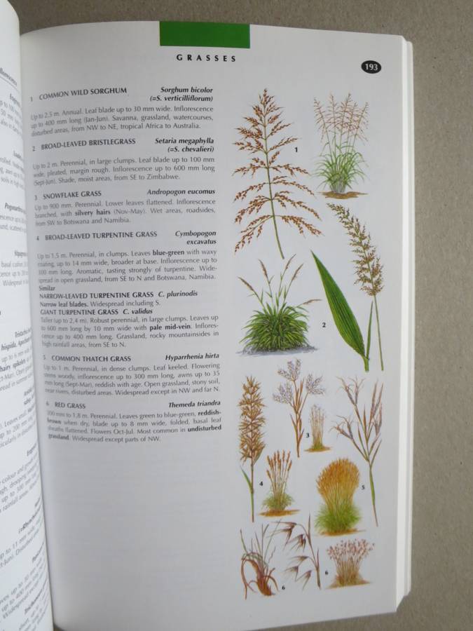 WILDLIFE OF SOUTHERN AFRICA  Field guide to animals and plants of the region by Vincent Carruthers