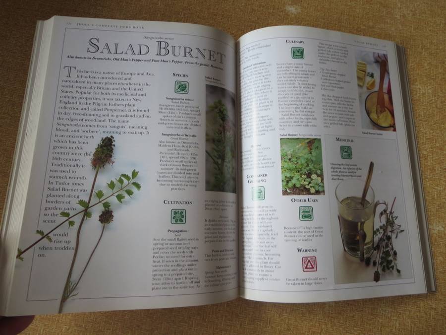 JEKKA`S COMPLETE HERB BOOK  by Jekka McVicar