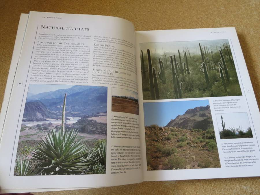 THE WORLD ENCYCLOPEDIA OF CACTI & SUCCULENTS  by Miles Anderson  Consultant: Terry Hewitt