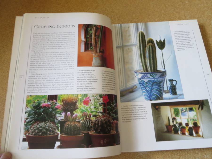 THE WORLD ENCYCLOPEDIA OF CACTI & SUCCULENTS  by Miles Anderson  Consultant: Terry Hewitt