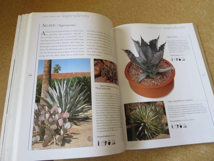 THE WORLD ENCYCLOPEDIA OF CACTI & SUCCULENTS  by Miles Anderson  Consultant: Terry Hewitt
