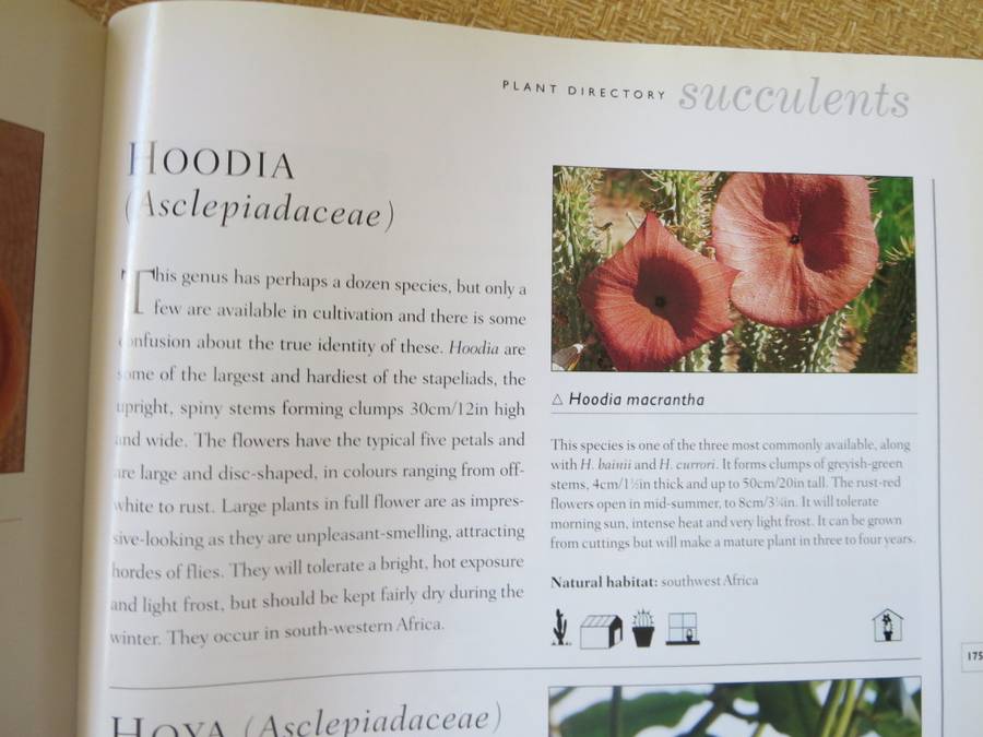 THE WORLD ENCYCLOPEDIA OF CACTI & SUCCULENTS  by Miles Anderson  Consultant: Terry Hewitt
