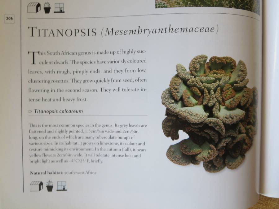 THE WORLD ENCYCLOPEDIA OF CACTI & SUCCULENTS  by Miles Anderson  Consultant: Terry Hewitt