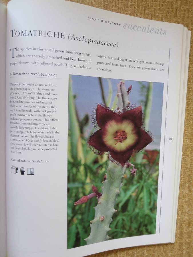 THE WORLD ENCYCLOPEDIA OF CACTI & SUCCULENTS  by Miles Anderson  Consultant: Terry Hewitt