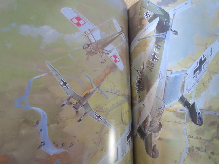 BATTLES OF WORLD WAR II  POLAND 1939. Germanys `lightning strike` Book 1