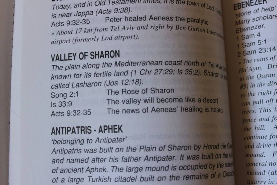 ARISE, WALK THROUGH THE LAND. Roy Turkington.