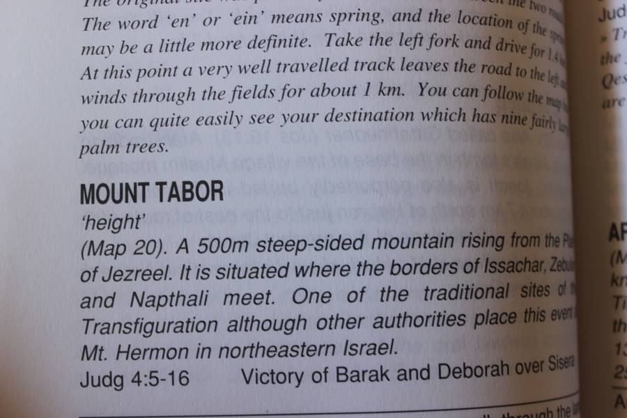 ARISE, WALK THROUGH THE LAND. Roy Turkington.