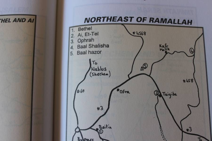 ARISE, WALK THROUGH THE LAND. Roy Turkington.