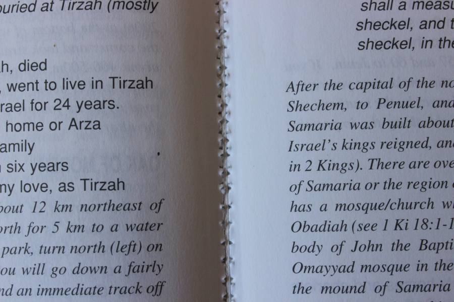 ARISE, WALK THROUGH THE LAND. Roy Turkington.