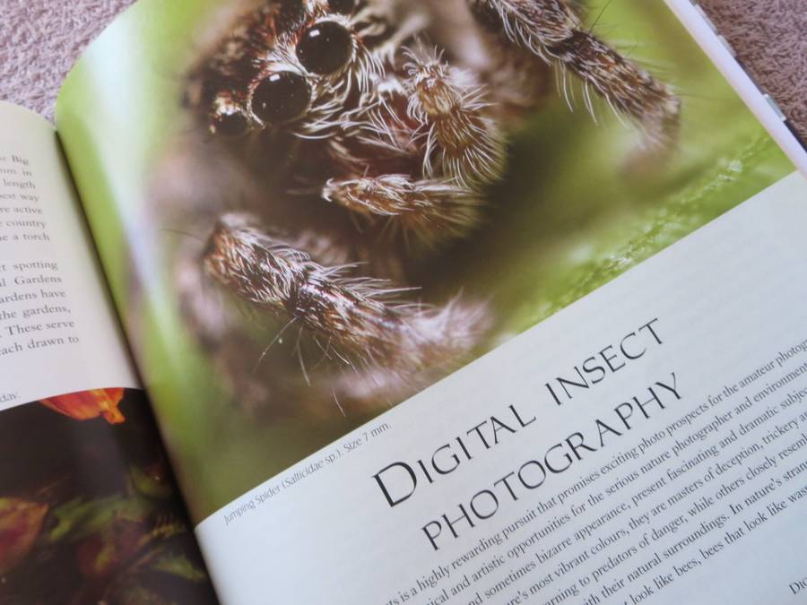 REMARKABLE INSECTS OF SOUTH AFRICA. A photographic safari. Lambert Smith.