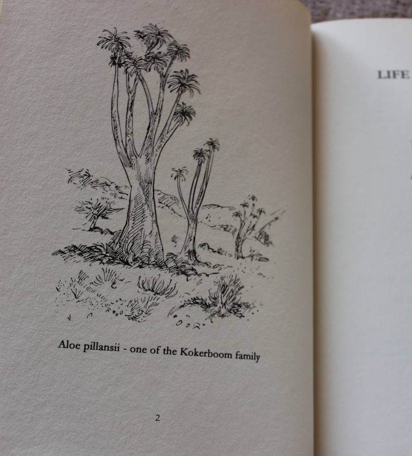 LIFE & TRAVELS IN THE NORTHWEST 1850-1899. Namaqualand, Bushmanland & West Coast. Arne Schaefer. (W)