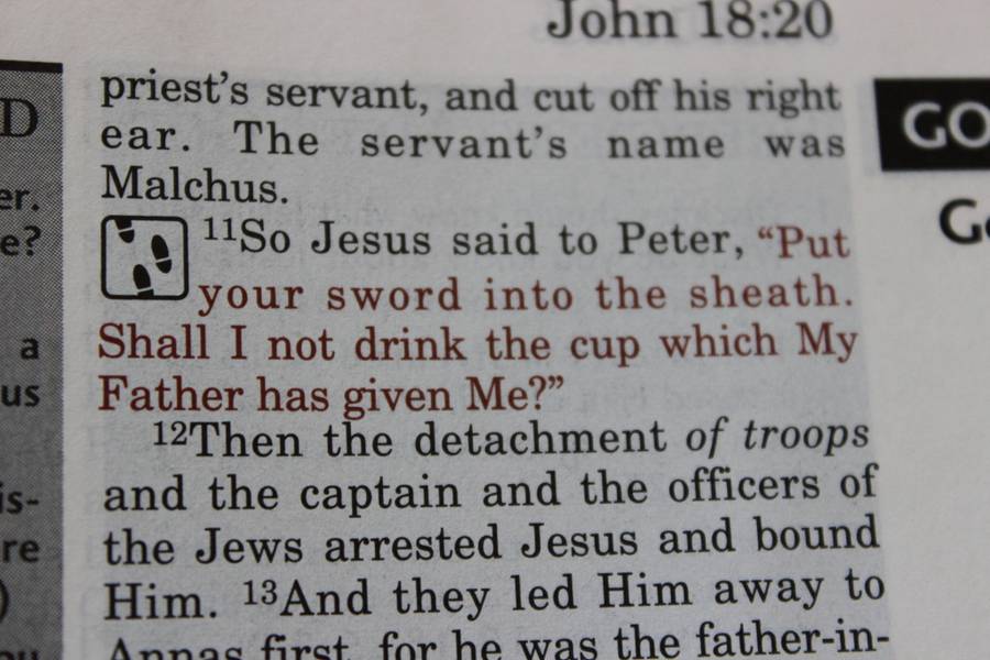 THE EXPERIENCING GOD STUDY BIBLE  New King James Version  Managing Editor Frank Wm. White