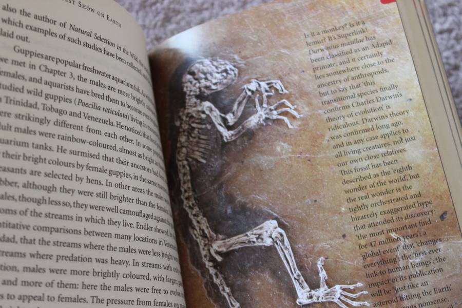 THE GREATEST SHOW ON EARTH: The evidence for evolution  by Richard Dawkins