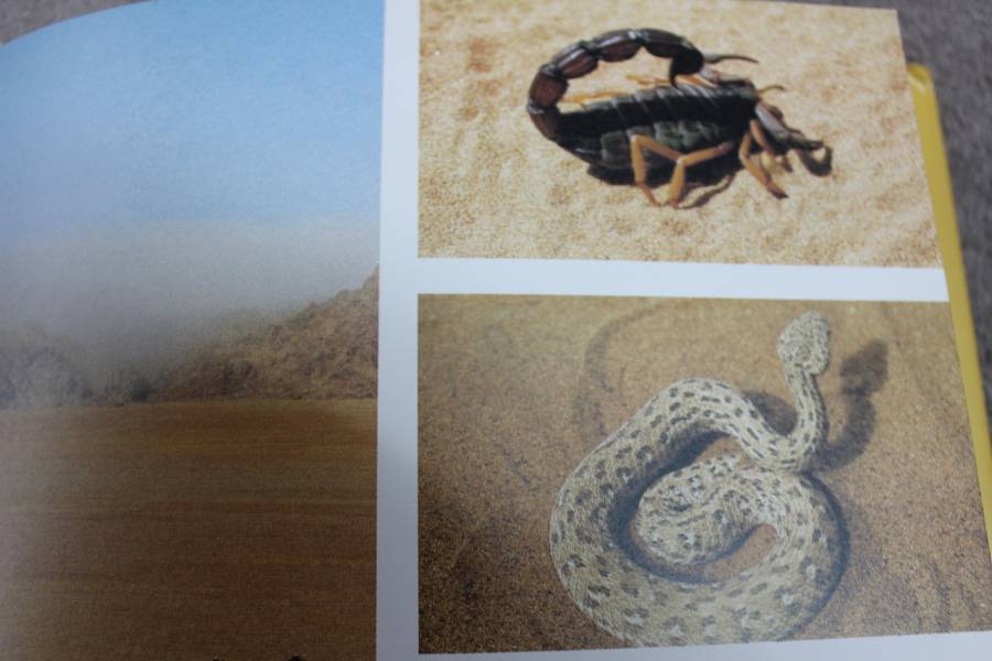 KAOKOVELD. The last wilderness. Anthony Hall-Martin, Clive Walker & J. du P Bothma.   (W)