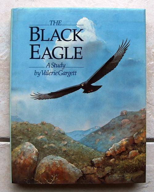 BLACK EAGLE, THE A Study by Valerie Gargett