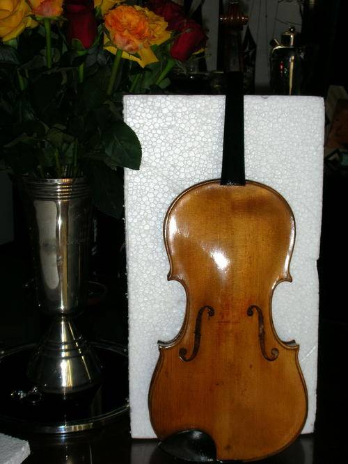 Violin