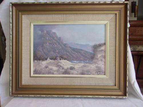 2 Lovely framed original oil on canvas paintings by Nico Coetzee for 1 bid