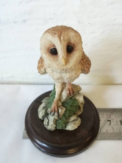 COUNTRY ARTISTS - STRATFORD-UPON-AVON - OWL