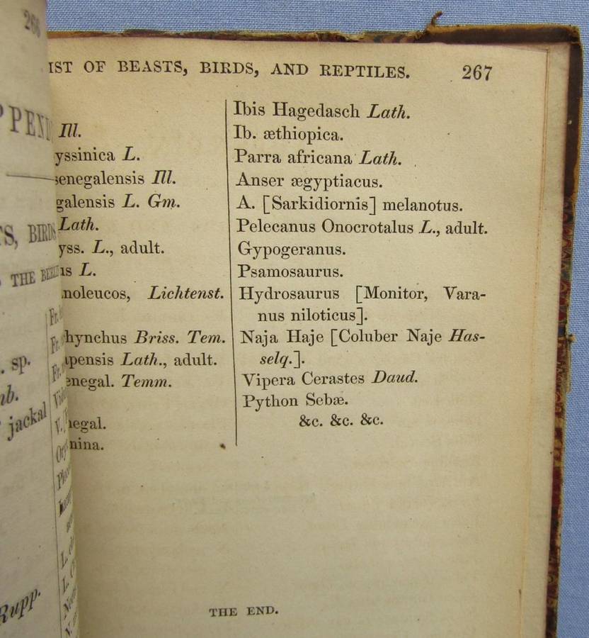 1852 - African Wanderings - Ferdinand Werne