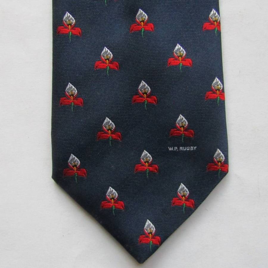 Old WP Western Province Rugby Neck Tie