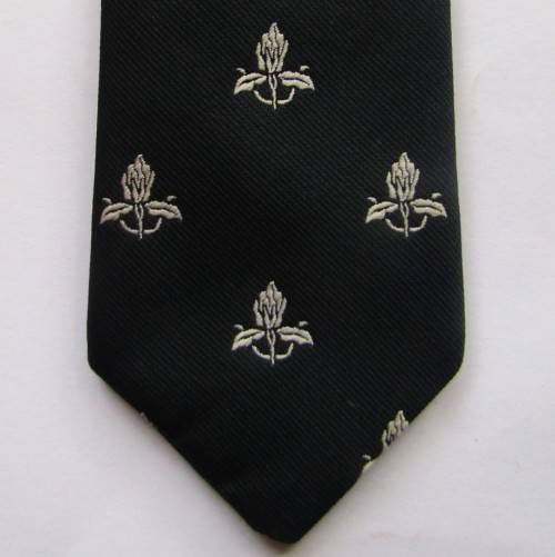 Old WP Western Province Rugby Neck Tie