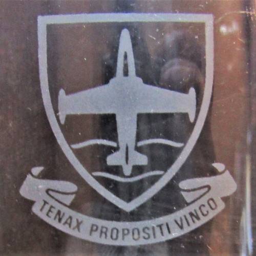 SAAF Langebaan Flight Training School Beer Mug