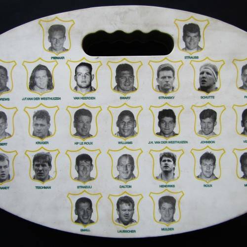 1995 Springbok Players Rugby Spectator Cushion
