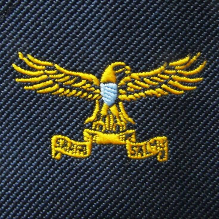 Old SAAF Insignia Tie