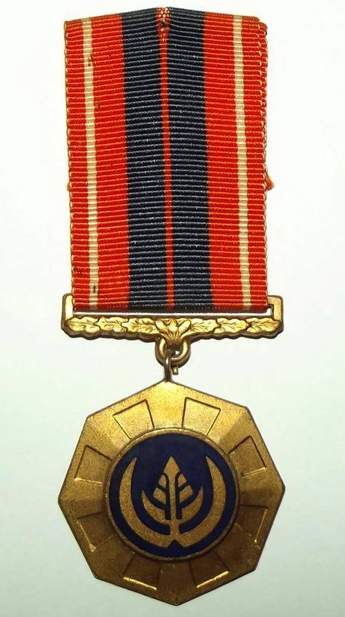 SADF Bush War Pro Patria 1st Type Link Suspender Full Size Medal for Border Service