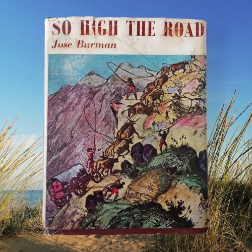 So High the Road ~Jose Burman ~ Mountain Passes of the Western Cape