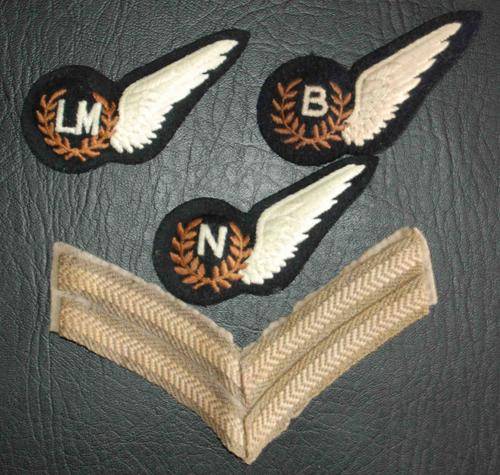 Various Royal Air Force insignia