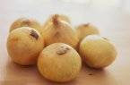Onion 50 seeds "White Portugal"