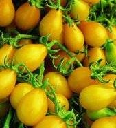 Tomato 20 seeds "Yellow pear"