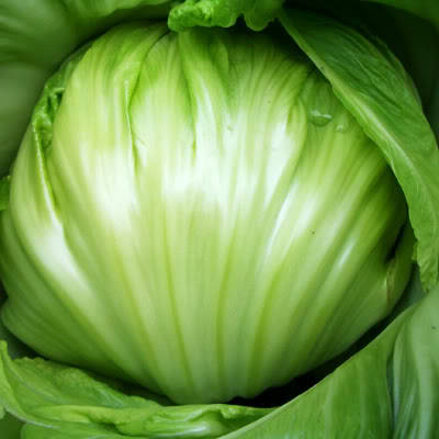 Mustard 80+seeds "Bau Sin Mustard"