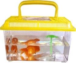 Fish Tank!!!!!!!