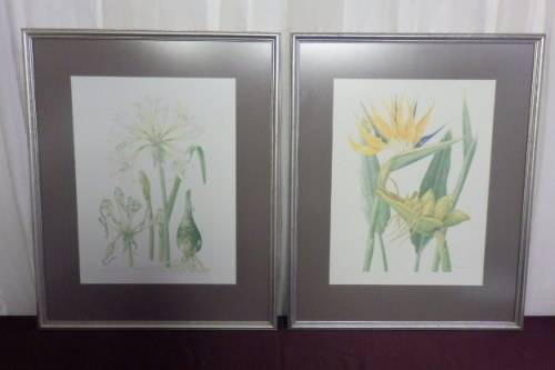 TWO BEAUTIFUL FRAMED "FAY ANDERSON" BOTANICAL FLOWERS WATER COLOUR PRINTS bid/print