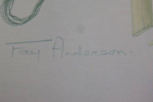 TWO BEAUTIFUL FRAMED "FAY ANDERSON" BOTANICAL FLOWERS WATER COLOUR PRINTS bid/print