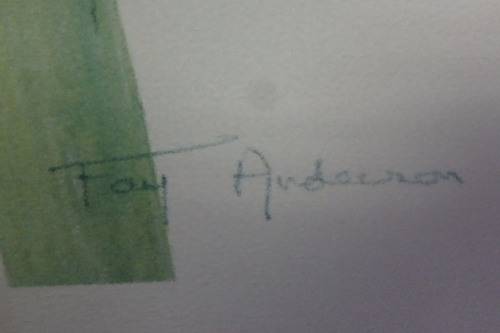 TWO BEAUTIFUL FRAMED "FAY ANDERSON" BOTANICAL FLOWERS WATER COLOUR PRINTS bid/print