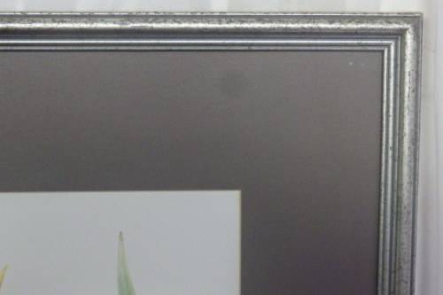 TWO BEAUTIFUL FRAMED "FAY ANDERSON" BOTANICAL FLOWERS WATER COLOUR PRINTS bid/print