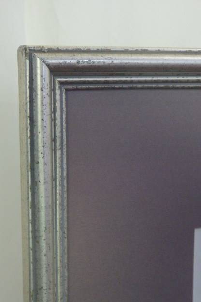 TWO BEAUTIFUL FRAMED "FAY ANDERSON" BOTANICAL FLOWERS WATER COLOUR PRINTS bid/print