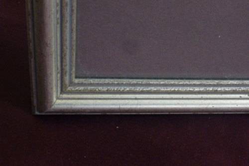 TWO BEAUTIFUL FRAMED "FAY ANDERSON" BOTANICAL FLOWERS WATER COLOUR PRINTS bid/print