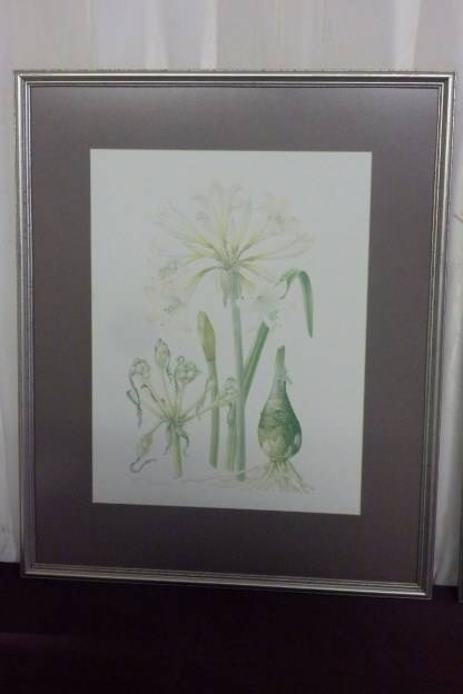 TWO BEAUTIFUL FRAMED "FAY ANDERSON" BOTANICAL FLOWERS WATER COLOUR PRINTS bid/print
