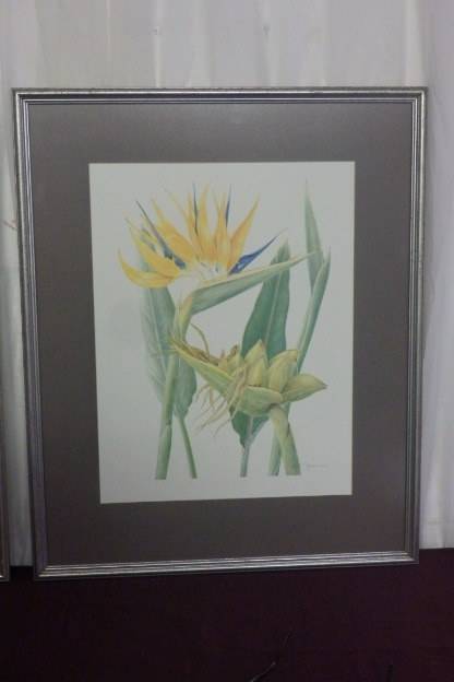 TWO BEAUTIFUL FRAMED "FAY ANDERSON" BOTANICAL FLOWERS WATER COLOUR PRINTS bid/print