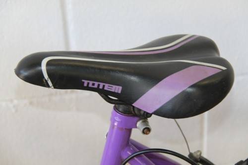 A fantastic Totem "CX 100" 21 speed off road bike in great condition - RS17Sale