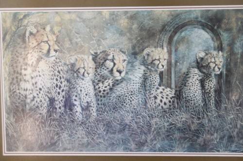 Incredible print of a group of cheetahs in the wild - stunningly framed behind glass - RS17Sale