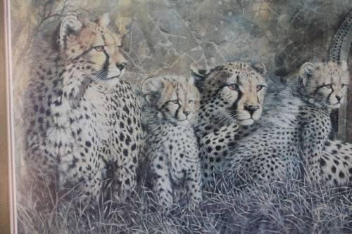 Incredible print of a group of cheetahs in the wild - stunningly framed behind glass - RS17Sale