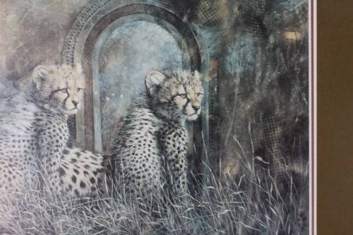 Incredible print of a group of cheetahs in the wild - stunningly framed behind glass - RS17Sale